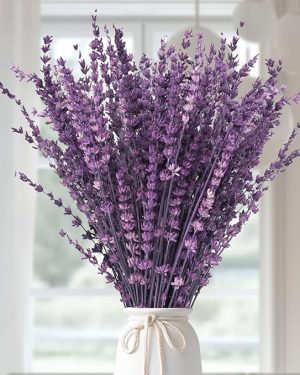 Dried Purple Lavender Flowers Bundle-Dried Preserved Lavender Bouquet 15-17" for Shower Weeding Home Vase Decor, Crafts, Aromatherapy, Fragrance, Fresh Silk Dry Live Plants, 50g(1.76oz)